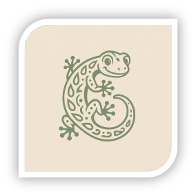 Lerntherapie Walker Gecko